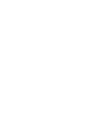 Sascha Hoselmann Logo